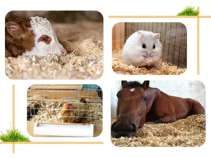 Animal bedding