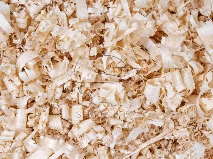 Wood shavings for sawdust blocks