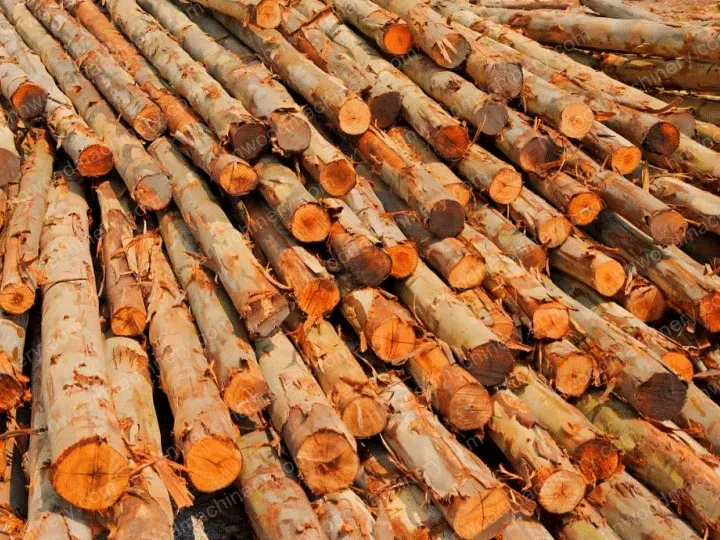 3 Types Of Wood Debarker: Efficient Solutions For Timber Processing 12 Eucalyptus