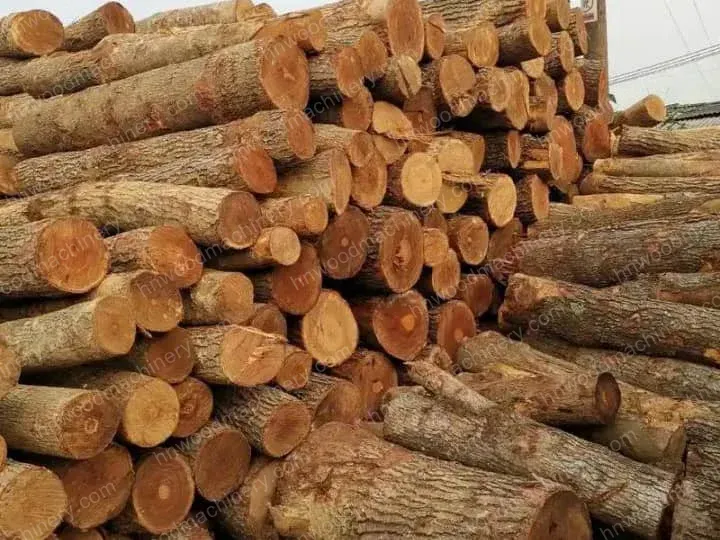 Comment écorcer du bois à bord vivant : Débiteur de bûches pour un traitement efficace 2 Érable