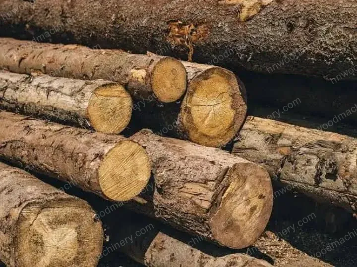 Comment écorcer du bois à bord vivant : Débiteur de bûches pour un traitement efficace 3 Chêne