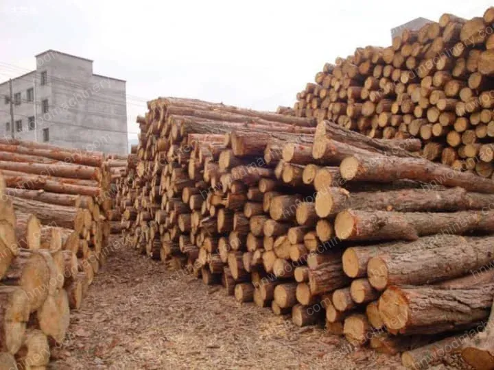 Comment écorcer du bois à bord vivant : Débiteur de bûches pour un traitement efficace 4 Pin